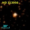 HD 313956