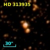 HD 313935