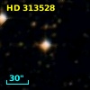 HD 313528