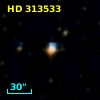 HD 313533