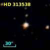 HD 313538