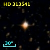 HD 313541