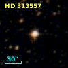 HD 313557