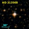 HD 313568
