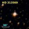 HD 313569