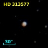 HD 313577