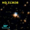 HD 313638