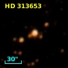 HD 313653