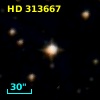 HD 313667