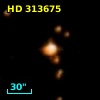 HD 313675