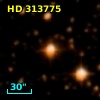 HD 313775