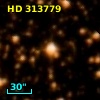 HD 313779