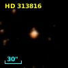 HD 313816