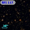 RFS  117