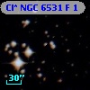 Cl* NGC 6531      F       1