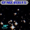 Cl* NGC 6531      F       5