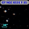 Cl* NGC 6531      F      15