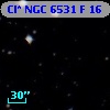 Cl* NGC 6531      F      16
