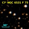 Cl* NGC 6531      F      75