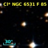 Cl* NGC 6531      F      85