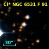Cl* NGC 6531      F      91