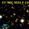 Cl* NGC 6531      F     110