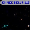 Cl* NGC 6531      F     117