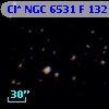Cl* NGC 6531      F     132