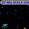 Cl* NGC 6531      F     134