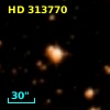 HD 313770