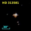 HD 313581