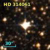 HD 314061