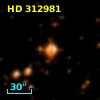 HD 312981