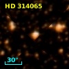 HD 314065