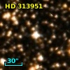 HD 313951