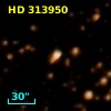 HD 313950