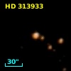 HD 313933