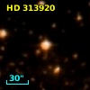 HD 313920