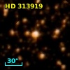 HD 313919