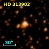 HD 313902