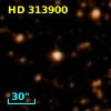 HD 313900