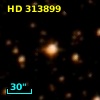 HD 313899