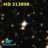 HD 313898