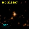 HD 313897