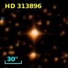 HD 313896