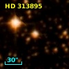 HD 313895
