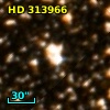 HD 313966
