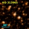 HD 313965