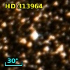 HD 313964