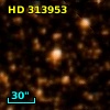 HD 313953